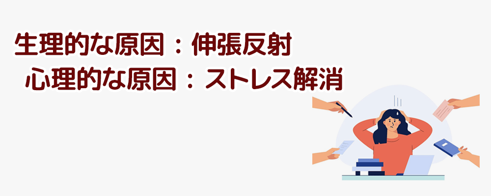 なぜ「貧乏揺すり」をしてしまうのか？その原因とメカニズム