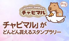【結論】チャビマルラリーのやり方は簡単3ステップ