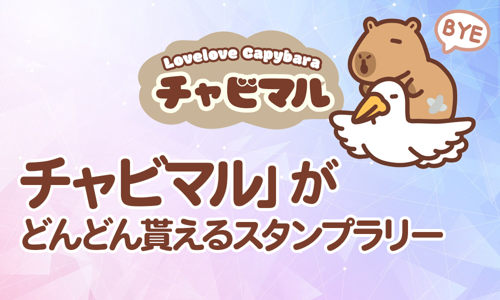 【結論】チャビマルラリーのやり方は簡単3ステップ