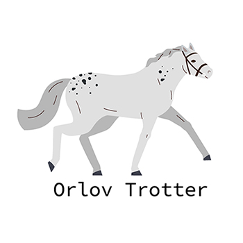 【金運爆上がり】2026年 寅の日・己巳の日カレンダーと行動戦略