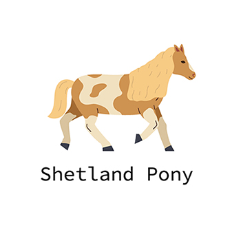 【恋愛・将来】大安と吉日が重なる！目的別の2026年 最強開運日