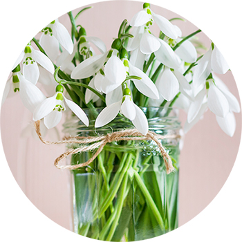 【次の行動】一生愛される女性へ！スノーフレークのように凛と咲く決意